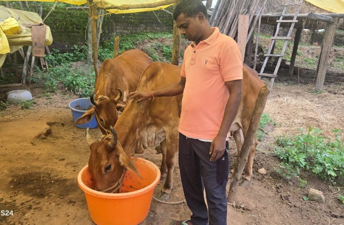छत्तीसगढ़ का स्वावलंबन