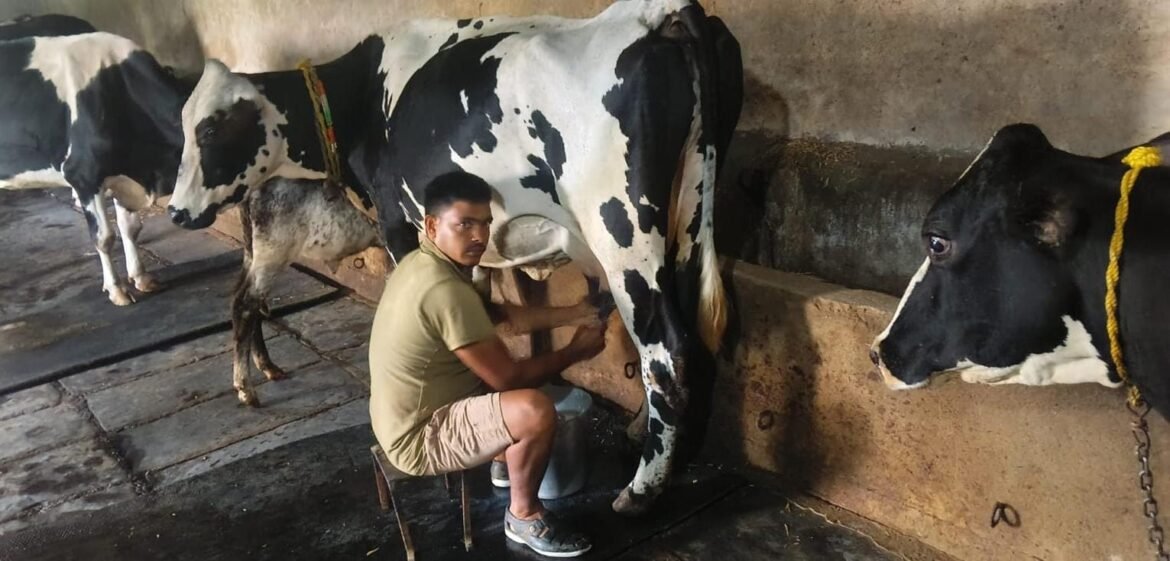 सफलता की कहानी