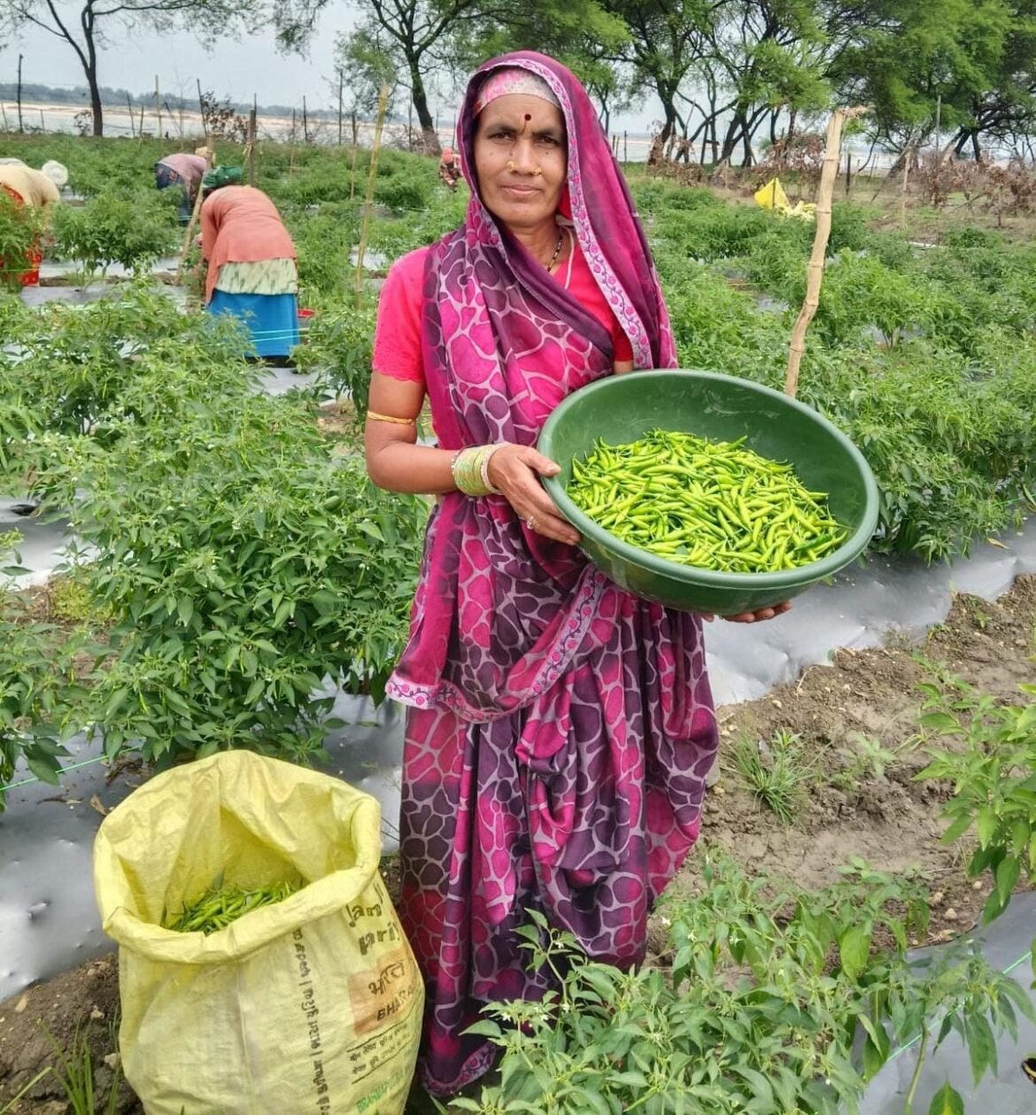 ‘तीखी मिर्च’ से घुली जीवन में मिठास