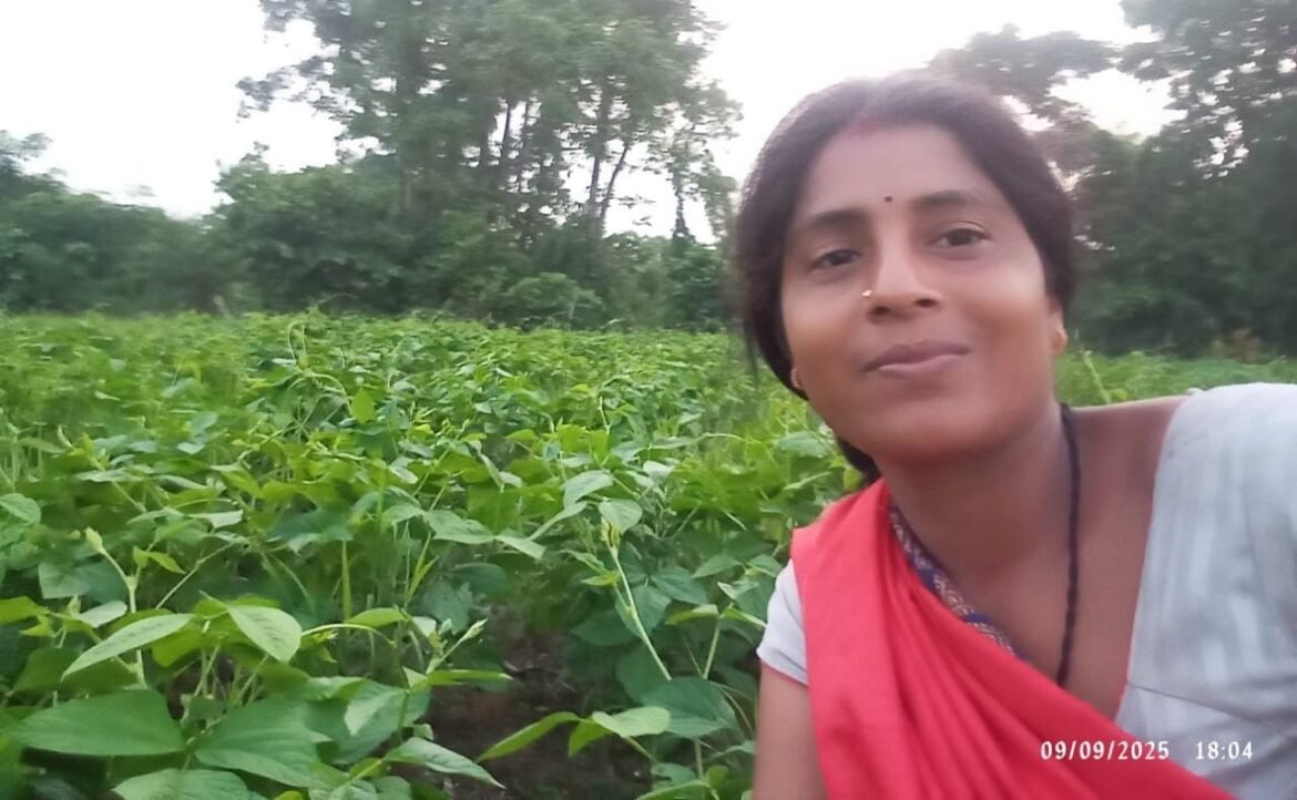 मिट्टी से समृद्धि की ओर