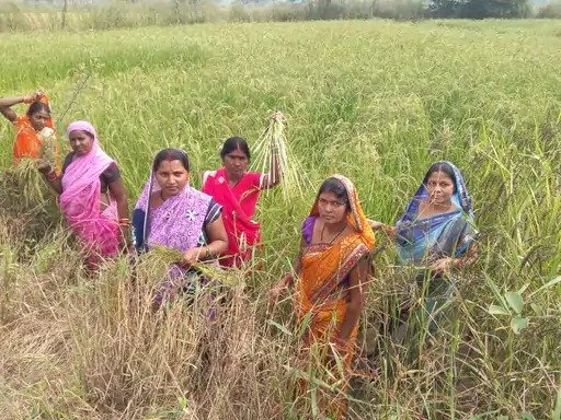 सेवा संकल्प अभियान