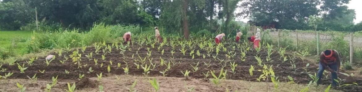 नवाचार से स्वावलंबन