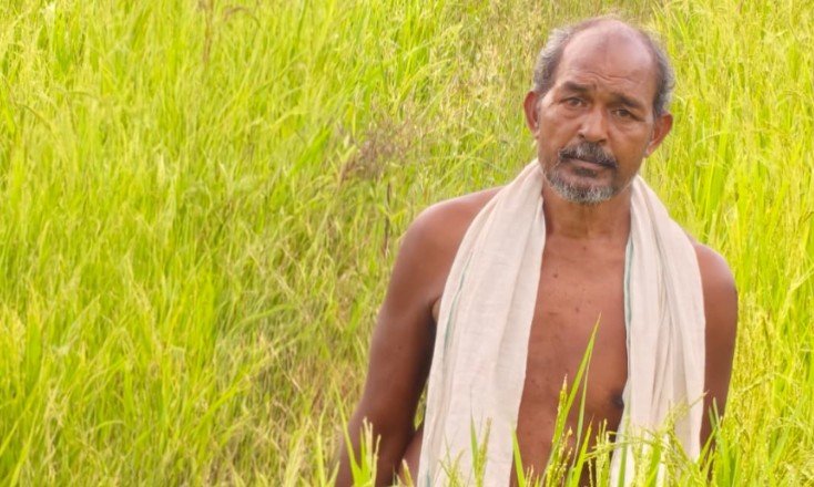 मुख्यमंत्री  विष्णु देव साय के नेतृत्व में किसानों की आय बढ़ाने और खेती को लाभकारी बनाने की दिशा में हो रहे निरंतर प्रयास