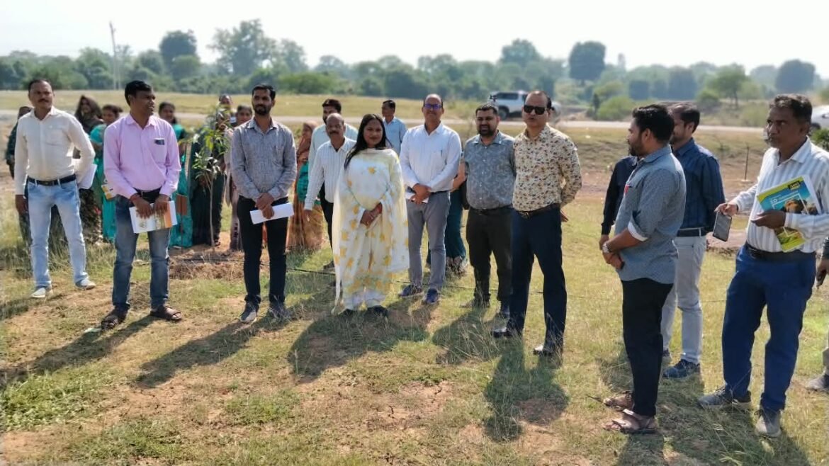 आयुक्त  तारन प्रकाश सिन्हा ने बेमेतरा जिले में वीबी-जी राम जी योजना के कार्यों का किया सघन निरीक्षण